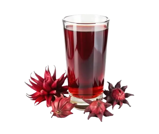 AGUA DE JAMAICA